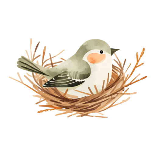 nido